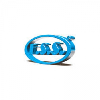 FSS
